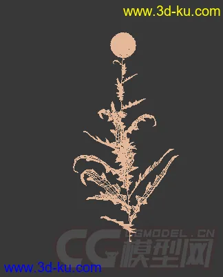 一株巴纳特蓝刺头花模型的图片