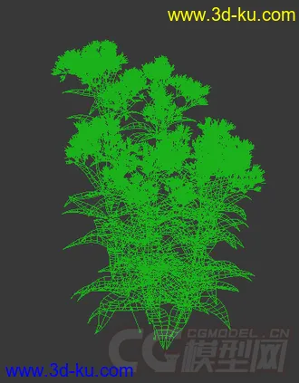 一丛紫花泽兰花模型的图片