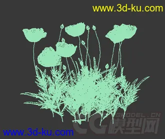 一丛白色的秋牡丹花模型的图片