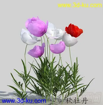 一丛秋牡丹花模型的图片
