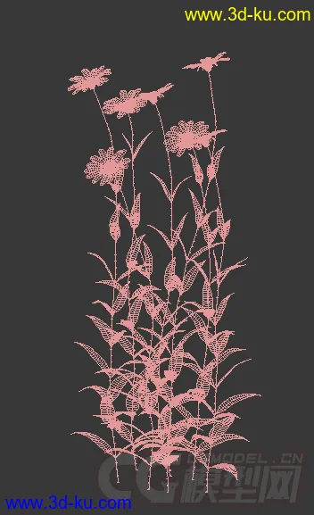 成长中的多花向日葵模型的图片2
