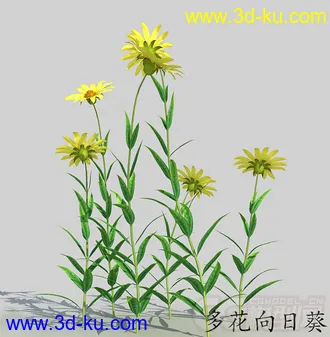 一丛多花向日葵花模型的图片