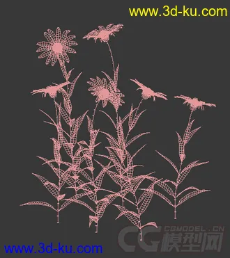 一丛多花向日葵花模型的图片