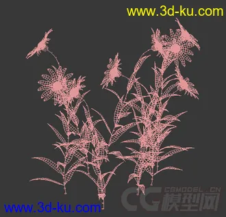 一丛多花向日葵模型的图片