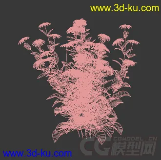 一簇金光菊花模型的图片