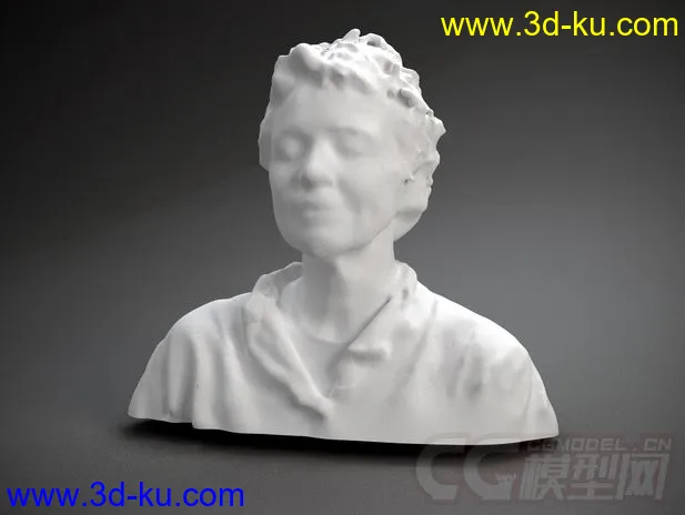 劳丽 安德森 3D打印模型 STL格式的图片1