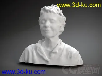 劳丽 安德森 3D打印模型 STL格式的图片
