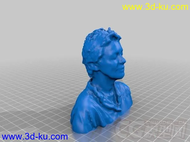 劳丽 安德森 3D打印模型 STL格式的图片2