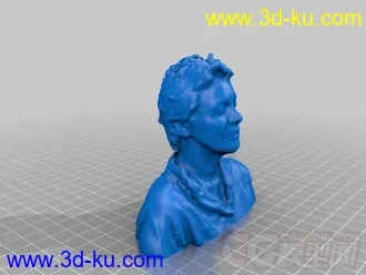 劳丽 安德森 3D打印模型 STL格式的图片