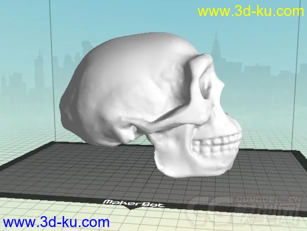 猿人头骨 3D打印模型 STL格式的图片1