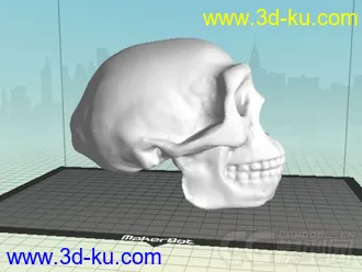 猿人头骨 3D打印模型 STL格式的图片