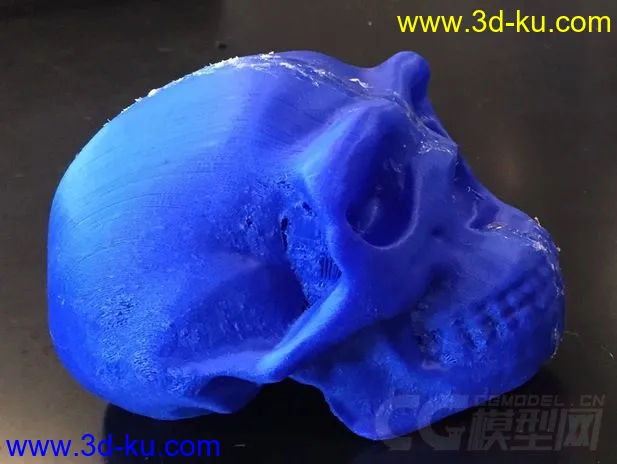 猿人头骨 3D打印模型 STL格式的图片2