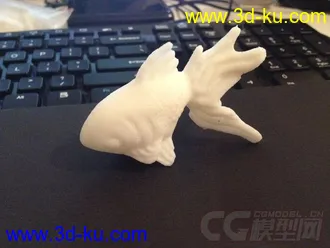 大金鱼 3D打印模型 STL格式的图片