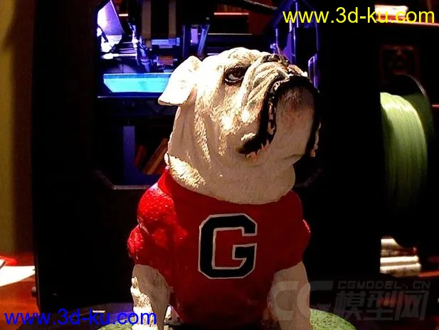 格鲁吉亚斗牛犬 3D打印模型 STL格式的图片2