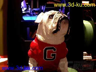 格鲁吉亚斗牛犬 3D打印模型 STL格式的图片