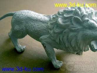 新非洲狮子 3D打印模型 STL格式的图片
