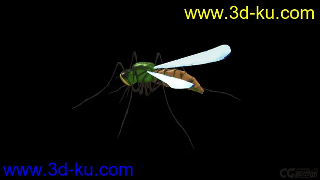 蚊子 有材质绑定模型的图片3