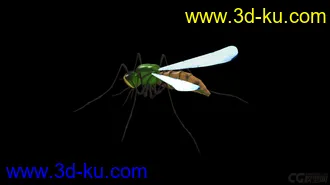 3D打印模型蚊子 有材质绑定的图片