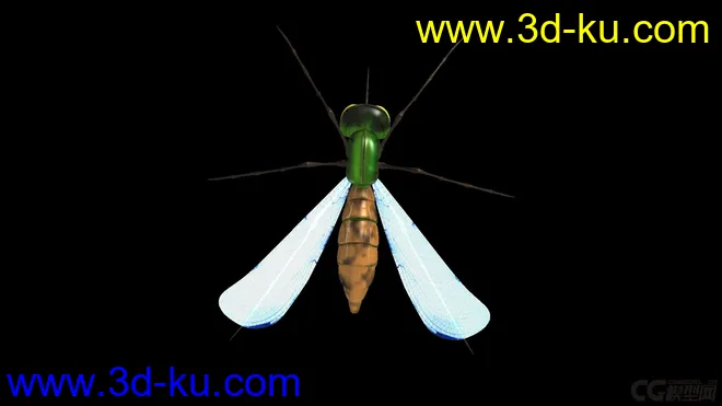 蚊子 有材质绑定模型的图片4