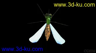 3D打印模型蚊子 有材质绑定的图片