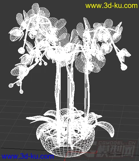 一盆兰花模型的图片2