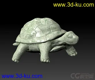 3D打印模型写实乌龟的图片