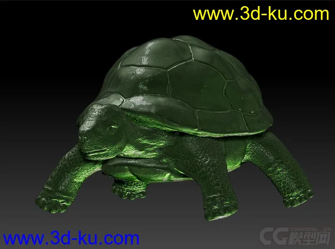 写实乌龟模型的图片2