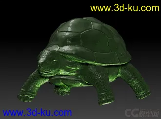 3D打印模型写实乌龟的图片
