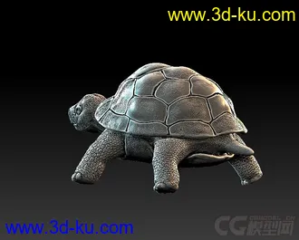 3D打印模型写实乌龟的图片