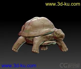 3D打印模型写实乌龟的图片