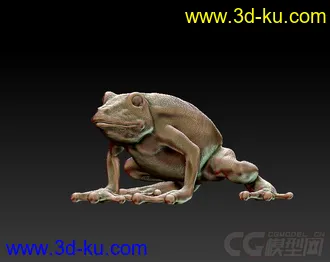 3D打印模型青蛙的图片