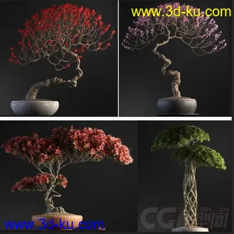 国外高精度室内外盆景3d模型  带贴图的图片