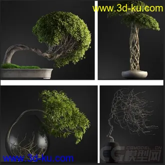 国外高精度室内外盆景3d模型  带贴图的图片