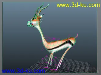 3D打印模型藏羚羊的图片