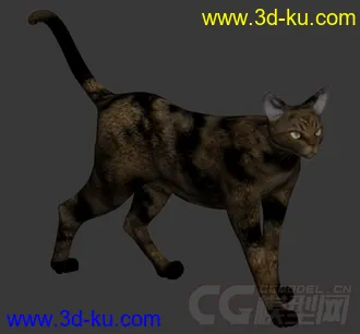 一只黑花猫模型的图片