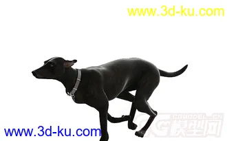 一只大黑狗模型的图片