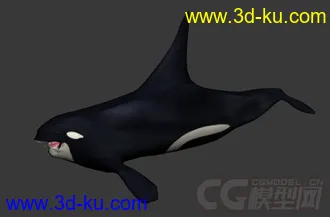 一只凶恶的鲨鱼模型的图片