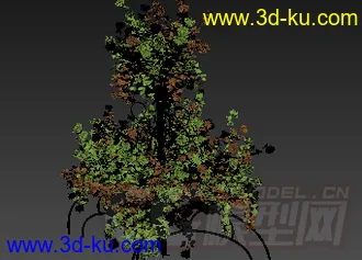 铁艺花架模型的图片