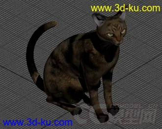 一只小花猫模型的图片