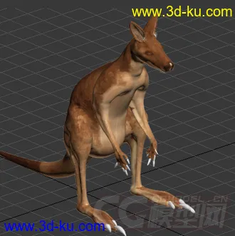 一只袋鼠模型的图片