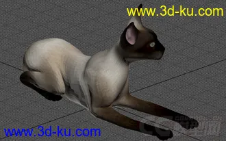 一只白毛猫模型的图片