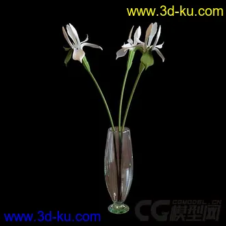 玻璃花瓶模型的图片