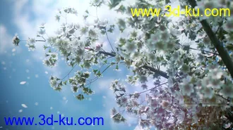 樱花树FBX格式模型，树皮和花的纹理都包括在内的图片