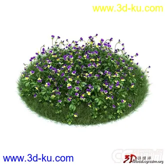 3D打印模型三色堇  Viola tricolor vray的图片