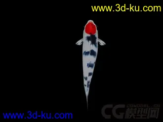 锦鲤模型 带绑定动画 有材质 多张贴图的图片