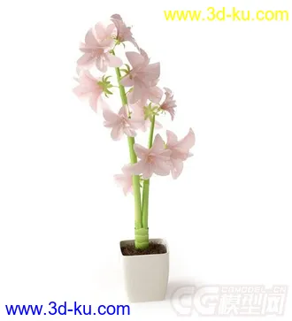 3D打印模型高精细盆栽植物 粉红色花 百合花的图片