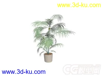 3D打印模型盆景的图片