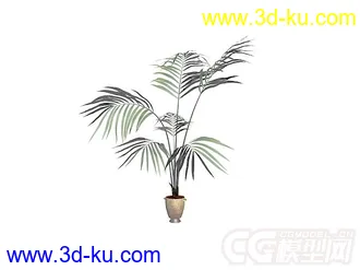 3D打印模型盆景的图片