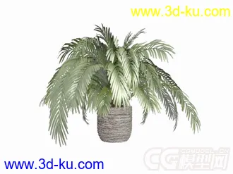 3D打印模型盆景的图片