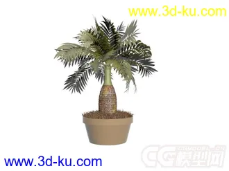 3D打印模型盆景的图片